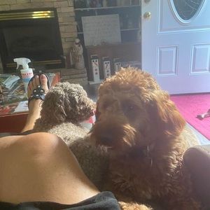 Meet your Posher, Deborah